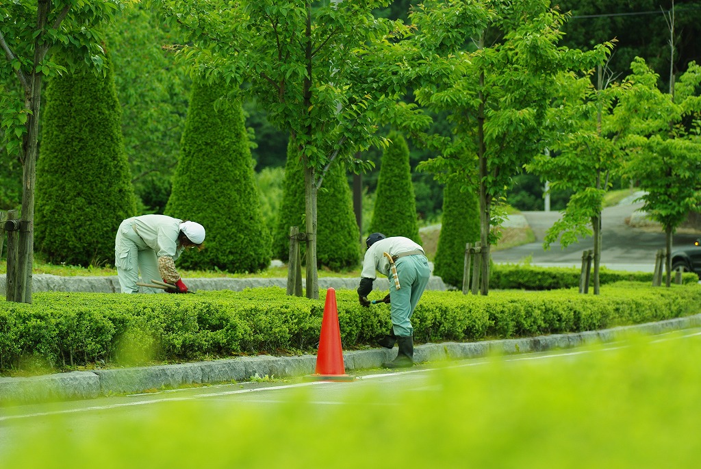 有限会社 三浦造園