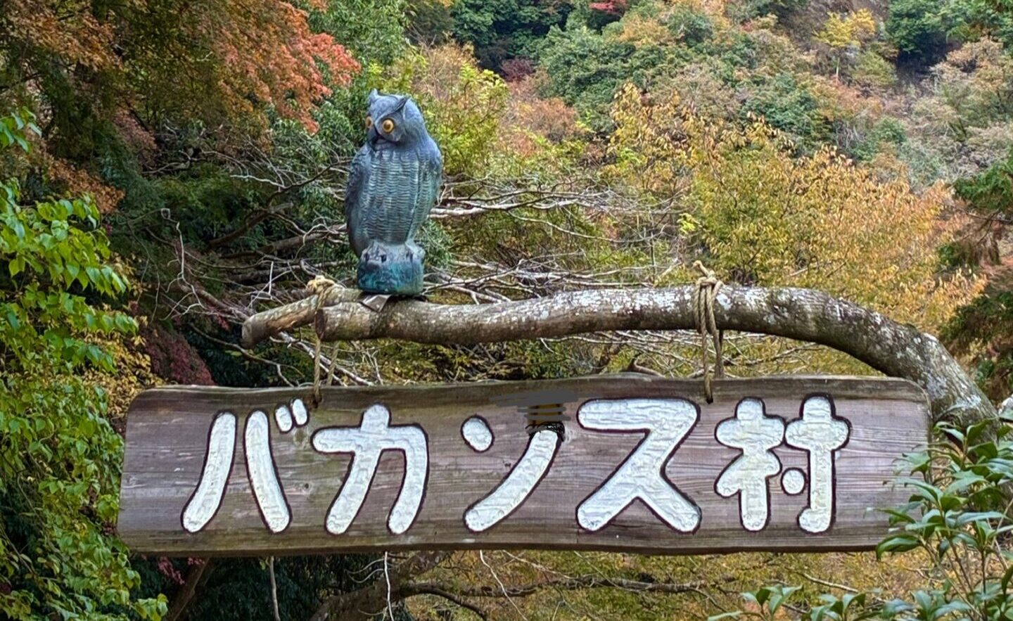 株式会社 オオシマ・ジャパン(バカンス村 キャンプ場)